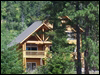 Cabin in Summer