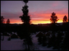 Sunset View