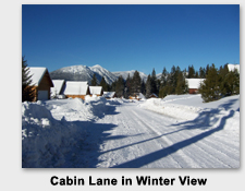 Roslyn Ridge Vacation Cabin for rent by owner