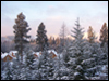 Cabin View in Winter